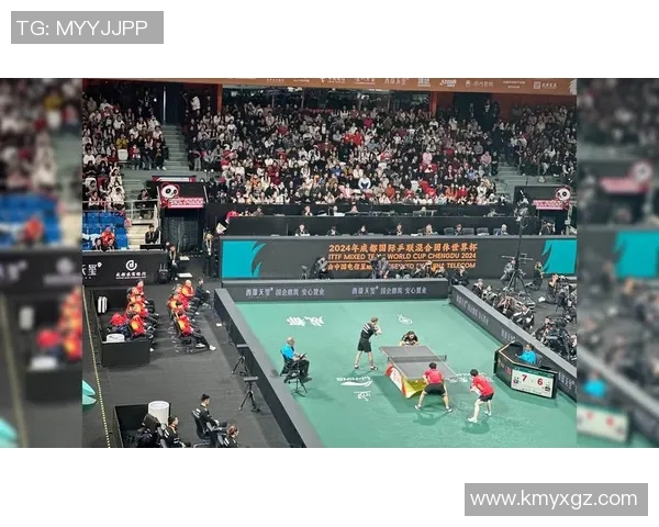 成都乒乓球队配合策略分析与实战应用探讨