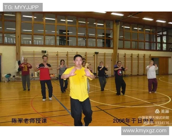 排球传奇陈军的成长之路与职业生涯回顾