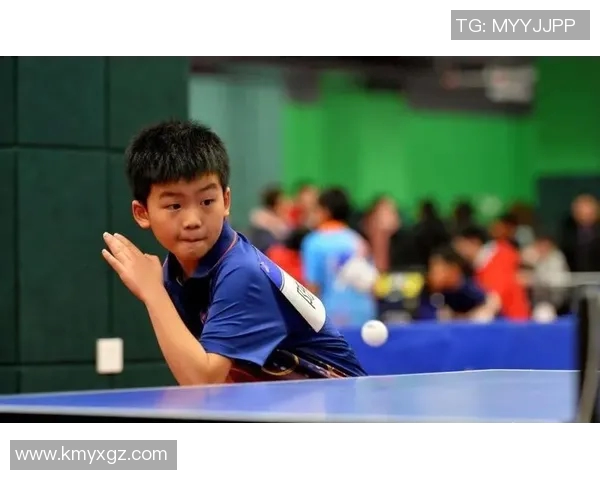 武汉乒乓球队进攻战术解析与发展趋势探讨