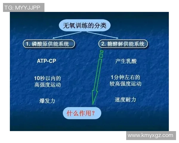 西安羽毛球队整体压制打法的深度分析与战术解读