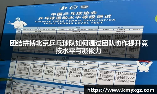 团结拼搏北京乒乓球队如何通过团队协作提升竞技水平与凝聚力
