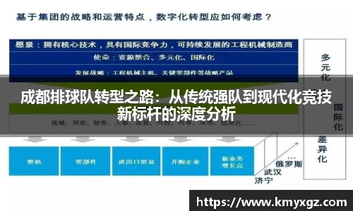 成都排球队转型之路：从传统强队到现代化竞技新标杆的深度分析